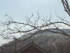 -径山寺