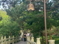 -普陀山风景名胜区-法雨禅寺
