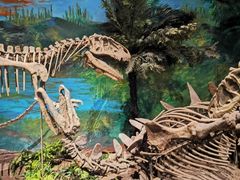 -自贡恐龙博物馆