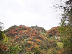 -抱龙峪