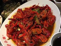 -沪小胖小龙虾(淮海中路旗舰店)