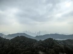 -大金鹰园