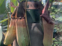 -国家植物园南园