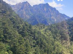 -黄山风景区