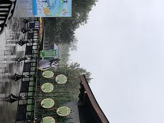 -都江堰中华大熊猫苑