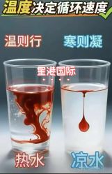 -星港国际·Skin皮肤专研·皮肤管理