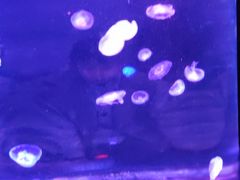 -福州罗源湾海洋世界旅游区