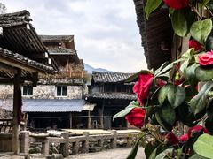 -林坑古村落
