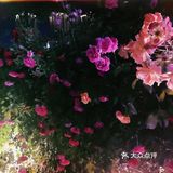 汉中市区！内走路就能到的赏花地