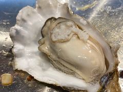 生蚝-蚝堡海鲜·威海菜·海肠捞饭·烧烤·亚洲吃蚝公司(幸福门店)
