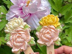 -洛阳市隋唐城遗址植物园