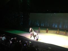 -cavalia·舞马