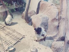 -苏州海洋馆