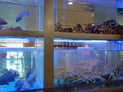 -南海渔村(珠江新城店)