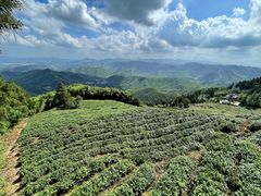 -莫干山风景区