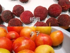 -龍歌自助小火锅(市北CBD万达店)