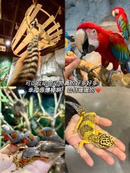-Zoolung Zoolung动物主题公园(海信广场店)