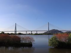 -芒洲湿地公园