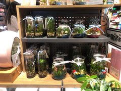 -酷乐潮玩(城西银泰城店)