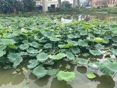 -正嘢私房菜