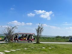 -七的湖·晚芳亭·阳澄湖农家菜·大闸蟹(莲花岛店)