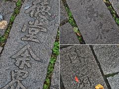 -巡塘古镇