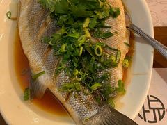 葱油清蒸鲈鱼-YUE LAI 悦来小馆(Barcelona)