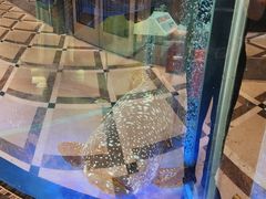 -金翠皇宫粤菜·点心·海鲜(科技园店)