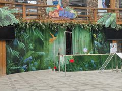 -南宫五洲植物乐园