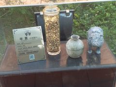 -广州神农草堂中医药博物馆