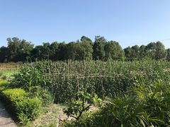 -洪湖家庭农场·团建·露营·会议