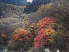 -叠溪松坪沟景区