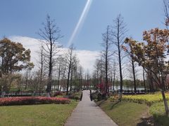 -九科绿洲