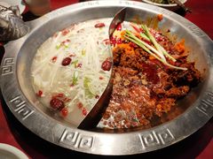 -袁老四重庆老火锅(桐梓坡店)