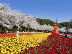 -苏州上方山国家森林公园
