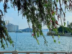 -长洲岛