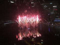 -新加坡文华东方酒店