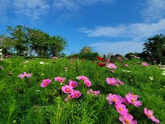 -海花岛旅游度假区