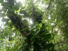 -畔山酒店中餐厅