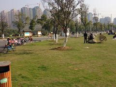 -艾溪湖湿地公园