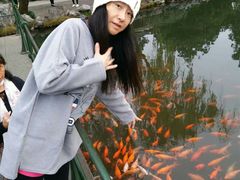 -西湖外事游船(花港观鱼码头)