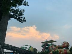 -苏州乐园森林水世界