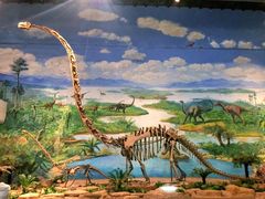 -自贡恐龙博物馆