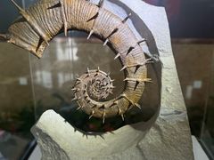 -湖南省地质博物馆