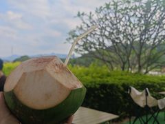 -风云岭森林公园