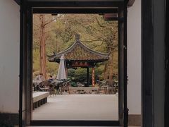 -杭州植物园