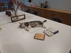 -咖法森林·咖啡  酒吧(天河店)