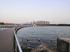 -暨阳湖生态园