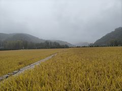 -南泥湾风景区