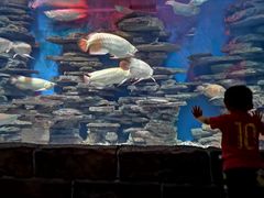 -多彩贵州城极地海洋世界